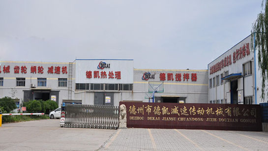 545.jpg